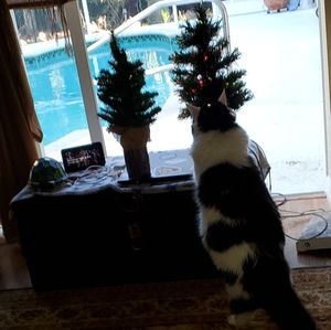 Meet your Posher, Conny